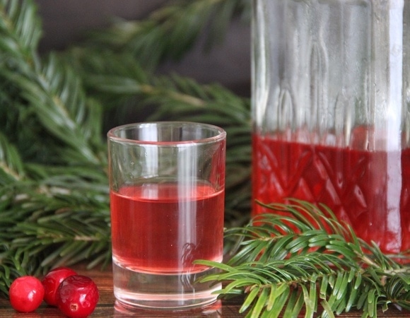 Зеленая иголка! Шеф-повар предлагает приготовить к Новому году 2 хвойных напитка — гости точно оценят Зеленая иголка! Шеф-повар предлагает приготовить к Новому году 2 хвойных напитка — гости точно оценят
