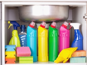 Сталкиваемся ежедневно: бытовые химикаты влияют на здоровье кишечника сильнее, чем принято думать Сталкиваемся ежедневно: бытовые химикаты влияют на здоровье кишечника сильнее, чем принято думать