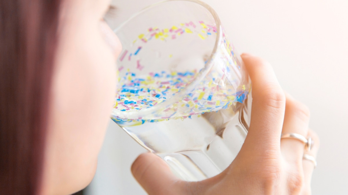 В неделю съедаем по банковской карте: как снизить количество употребляемого с едой микропластика