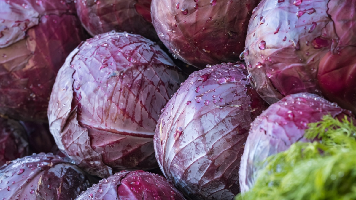 Цвет имеет значение: какая капуста идеально подходит для запекания дольками?