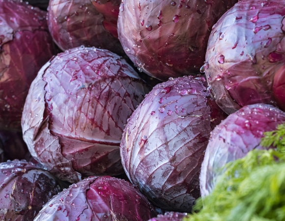 Цвет имеет значение: какая капуста идеально подходит для запекания дольками?