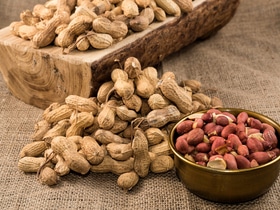 Этот "орех" оказался крайне полезен для мозга, но именно в таком виде Этот "орех" оказался крайне полезен для мозга, но именно в таком виде