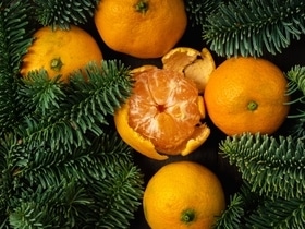 Сладкая цена: новогодний гастрономический символ подешевел на 15% за год