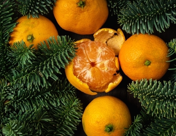 Сладкая цена: новогодний гастрономический символ подешевел на 15% за год