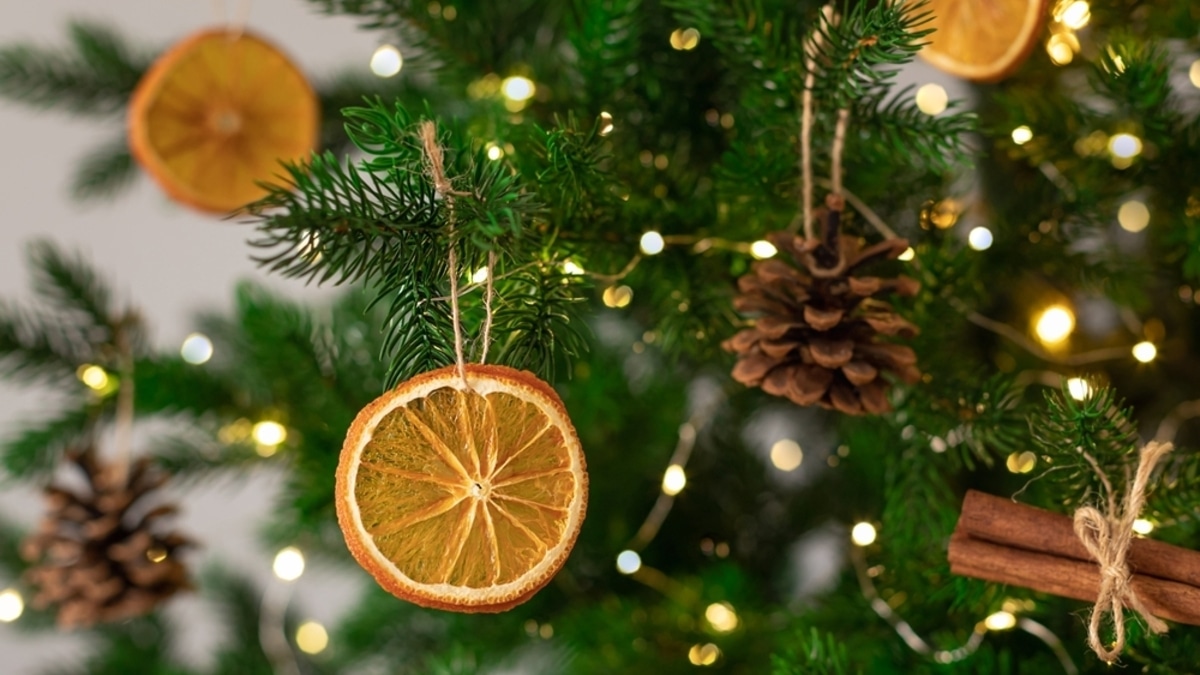 Если не хотите встречать год с насекомыми: в Роскачестве раскритиковали популярный новогодний тренд