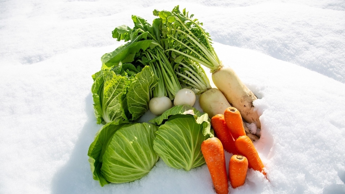 Диетолог напомнила о "зимних" заменах свежим овощам: чтобы не страдать от дефицитов