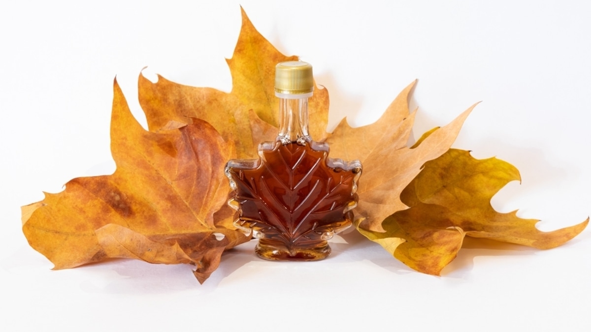 Пришел из-за океана и прижился: 17 декабря отмечаем День кленового сиропа Пришел из-за океана и прижился: 17 декабря отмечаем День кленового сиропа