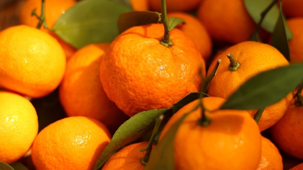 Гастроэнтеролог ответила, бывает ли от мандаринов изжога