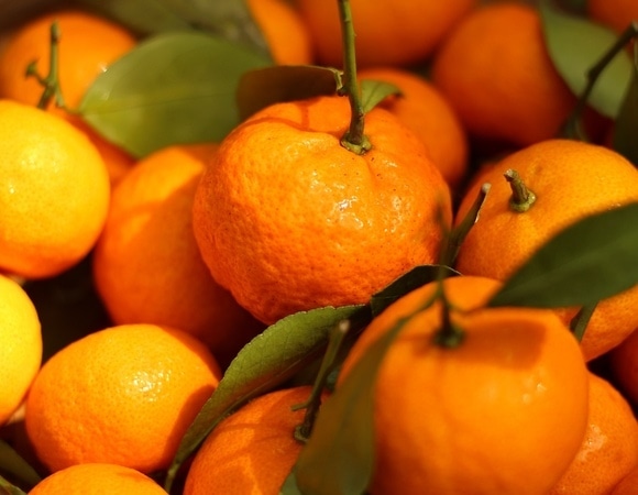 Гастроэнтеролог ответила, бывает ли от мандаринов изжога