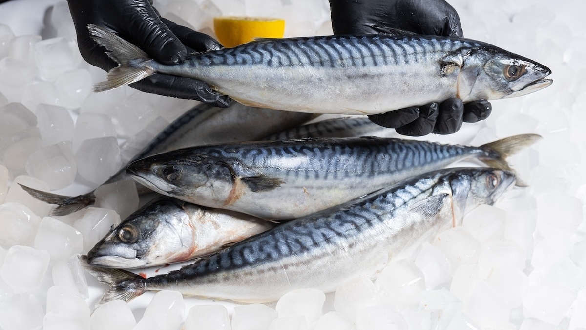 Вне конкуренции: названа самая популярная рыба у россиян