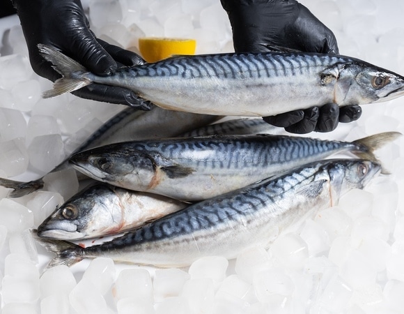 Вне конкуренции: названа самая популярная рыба у россиян