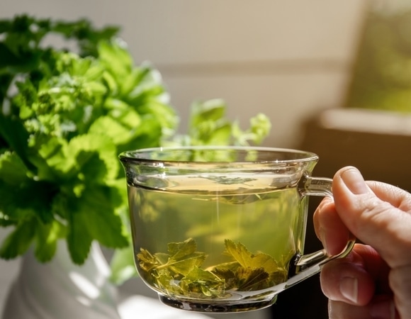 Не совместимы с лекарствами: это популярное увлечение вовсе не так безобидно, как кажется