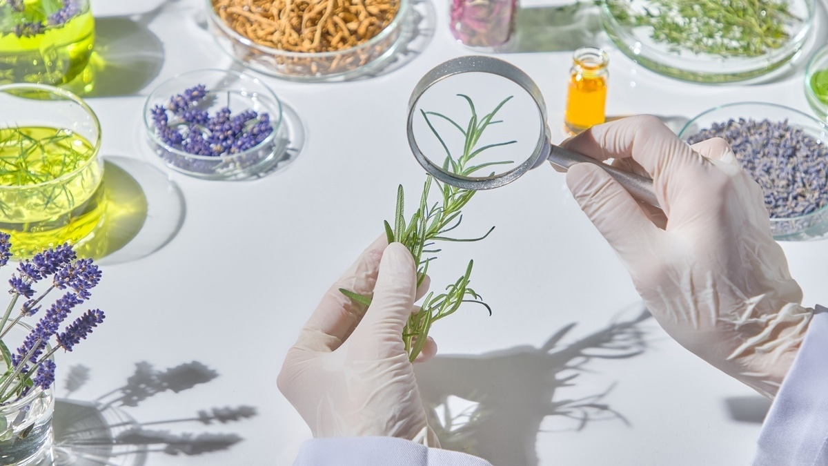 Не только для шефов: основатель гастроботаники рассказал, как адаптировать трендовое направление под домашнюю кухню