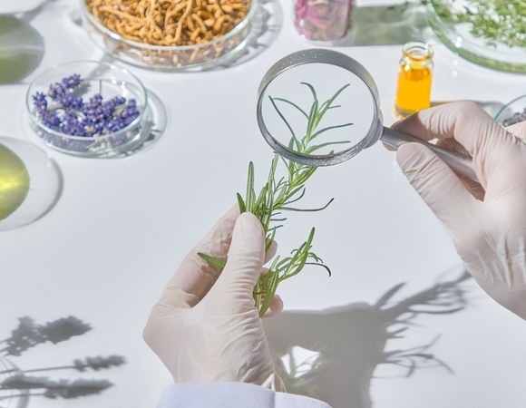 Не только для шефов: основатель гастроботаники рассказал, как адаптировать трендовое направление под домашнюю кухню