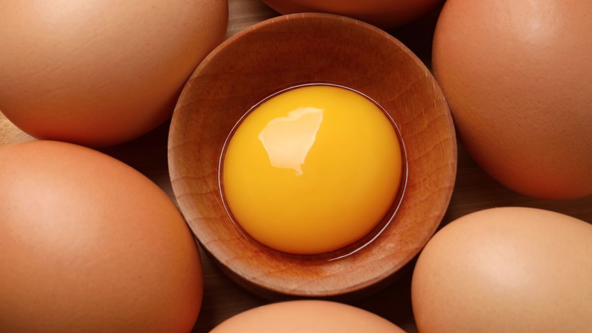 Оранжевые лучше или хуже? От чего зависит цвет желтка и действительно ли это имеет значение Оранжевые лучше или хуже? От чего зависит цвет желтка и действительно ли это имеет значение