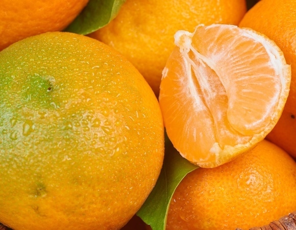 Клементины, сатсуми или мандарины: как выбрать цитрусы по вкусу и не запутаться