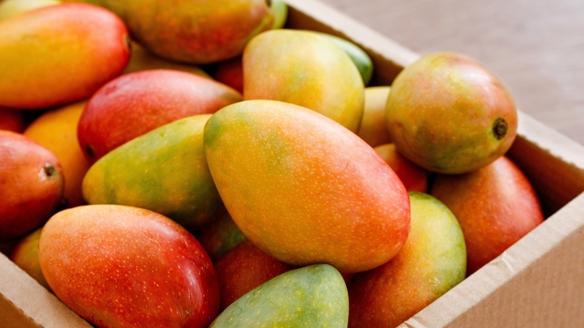 Все для памяти: ученые нашли фрукт, который делает человека умнее