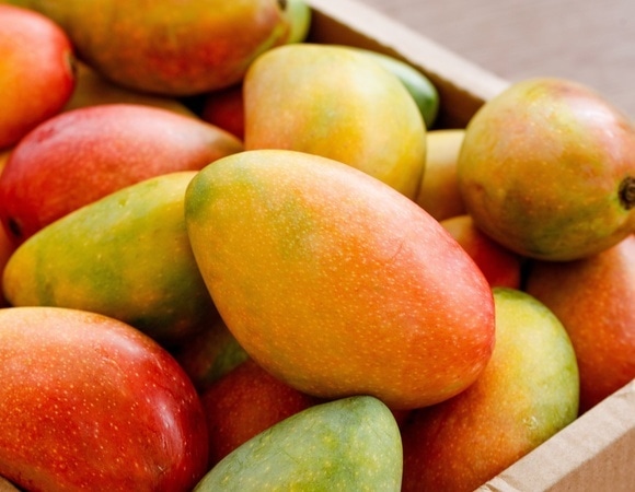 Все для памяти: ученые нашли фрукт, который делает человека умнее