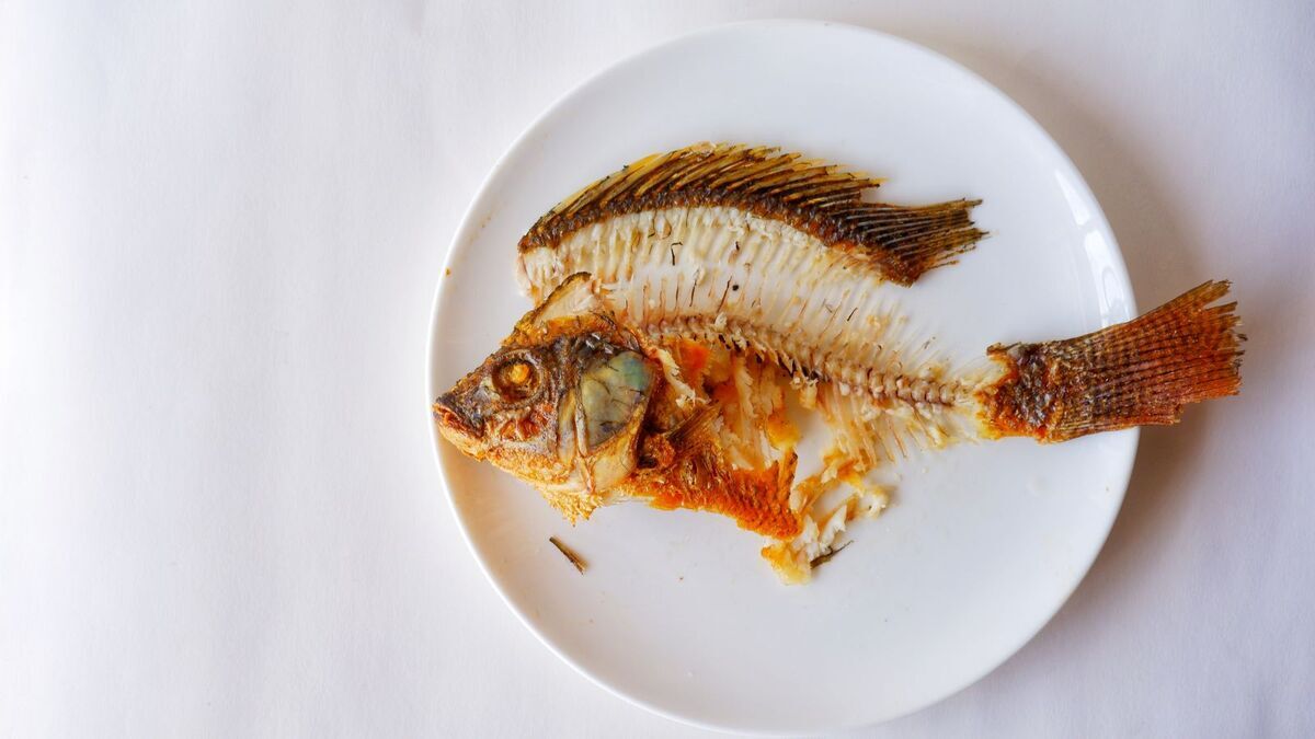 Какие рыбные кости можно есть? Одни подают в качестве снеков, другие — смертельно опасны (главное не перепутать!)