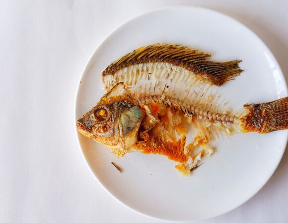 Какие рыбные кости можно есть? Одни подают в качестве снеков, другие — смертельно опасны (главное не перепутать!)