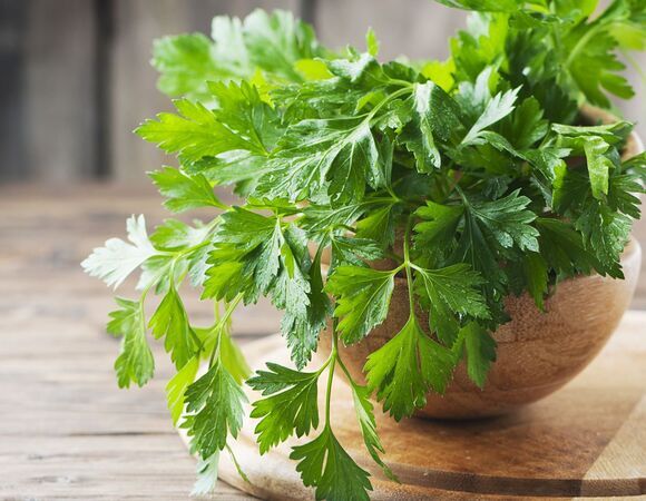 Большинство людей не употребляет свежую зелень из-за этих ошибок: добавляем травы в рацион правильно