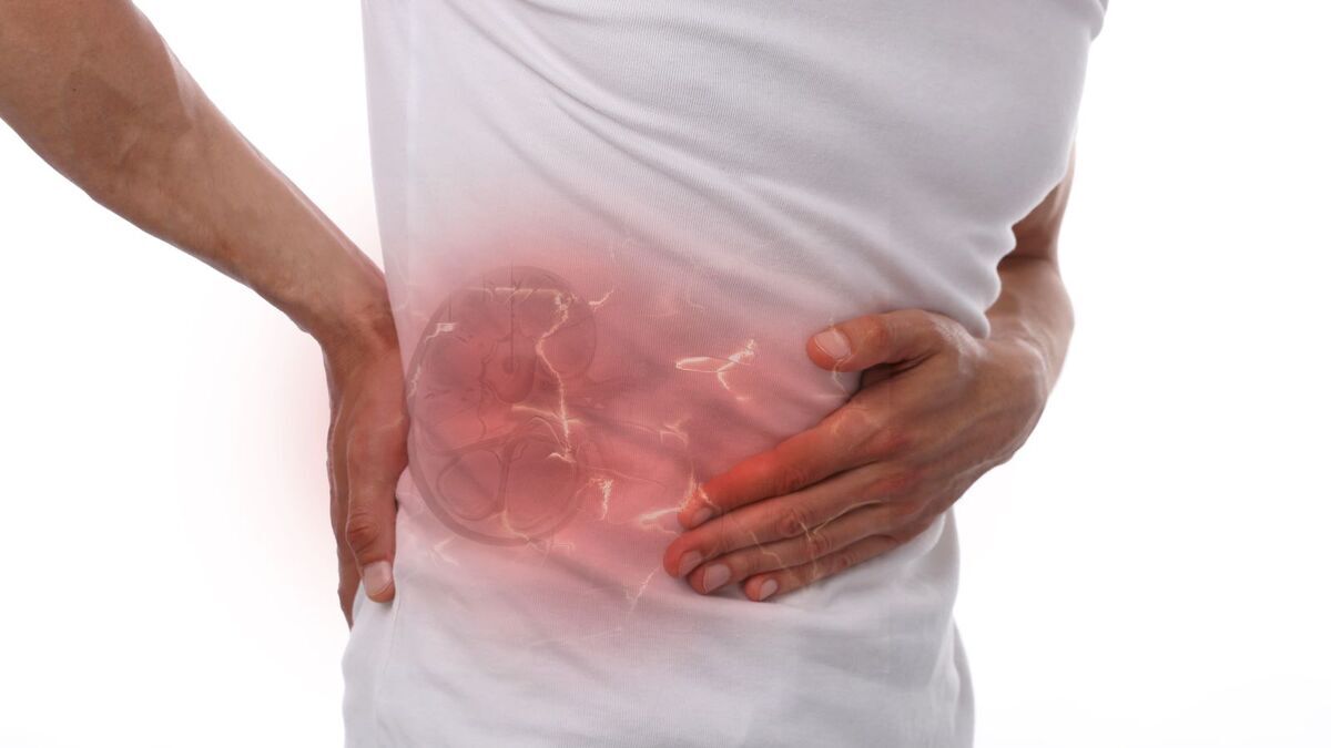 Убивает ли избыток белка почки? Доктор Мясников дал четкий ответ: "Да, это нагрузка"