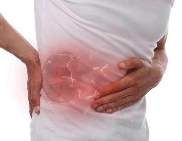 Убивает ли избыток белка почки? Доктор Мясников дал четкий ответ: "Да, это нагрузка"