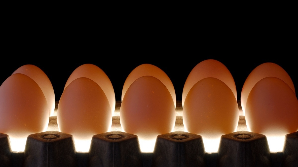 Как понять, свежее ли яйцо? Есть еще один проверенный способ, кроме теста со стаканом