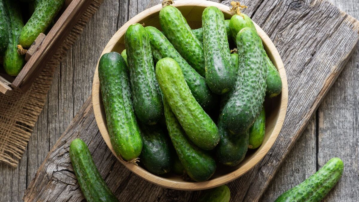 Билет в один конец: в сухпайках для пассажиров самолетов нашли "огурцы-убийцы" с токсинами