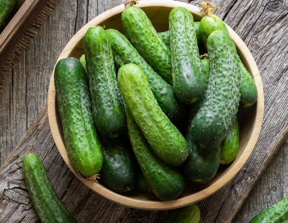 Билет в один конец: в сухпайках для пассажиров самолетов нашли "огурцы-убийцы" с токсинами