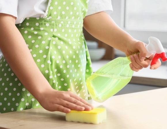 Клинеры используют его всегда: что такое круг Зиннера и как применять его в уборке — спросили у эксперта