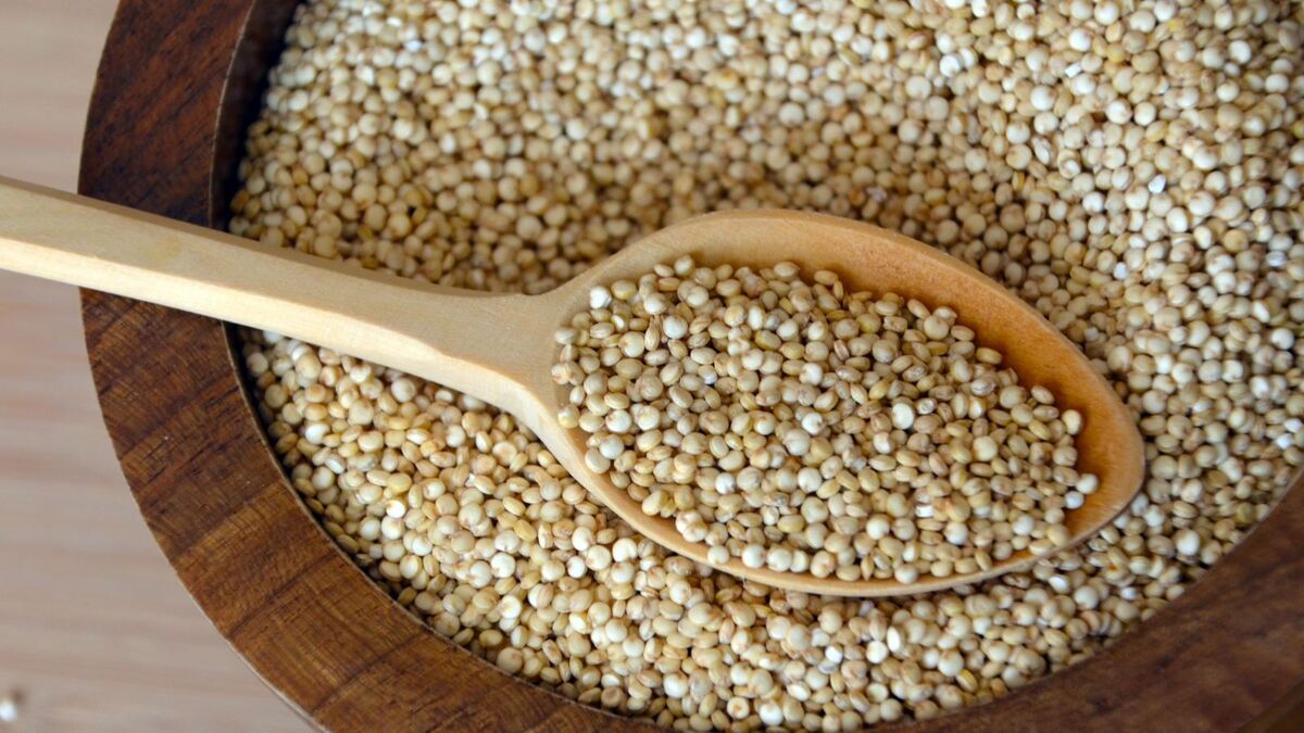 Полезный и модный "братец" гречки: отмечаем 16 января День киноа и учимся варить гарнир правильно