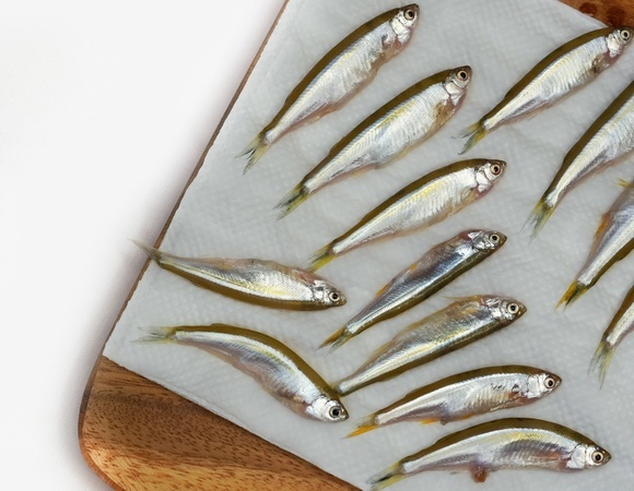 Лосось по цене не радует? Эксперт назвала дешевую рыбу, которая не уступит ему по пользе 