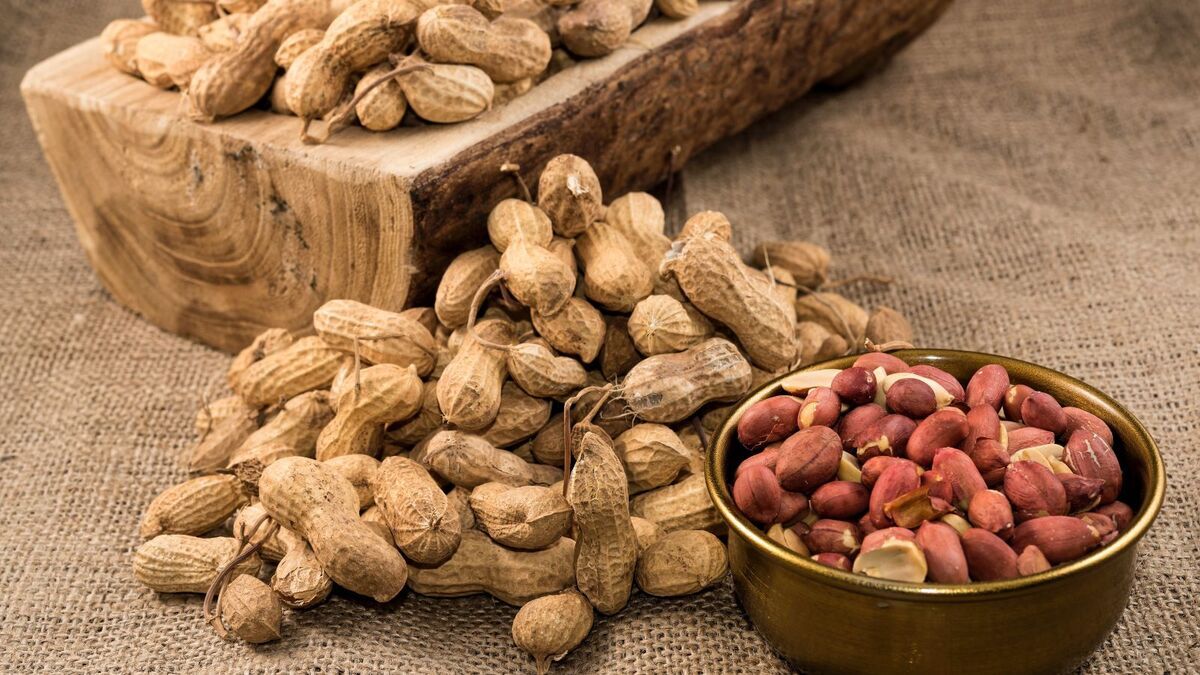 Оправдан! Этот "псевдоорех" не только можно, но и нужно включать в рацион, особенно пожилым людям