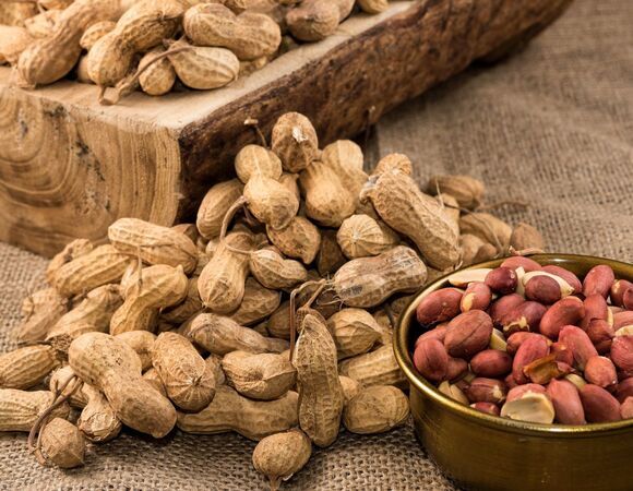 Оправдан! Этот "псевдоорех" не только можно, но и нужно включать в рацион, особенно пожилым людям