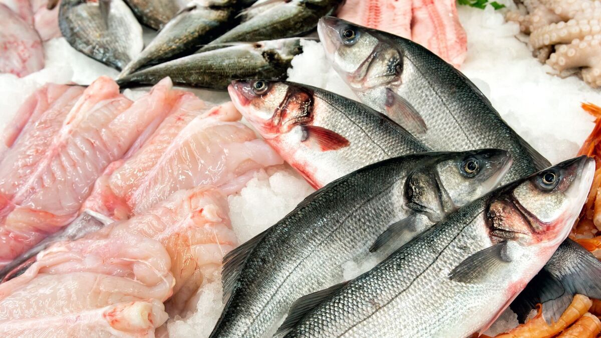 Экологично, экономично, продляет срок хранения: российские ученые придумали, что делать с рыбными отходами Экологично, экономично, продляет срок хранения: российские ученые придумали, что делать с рыбными отходами