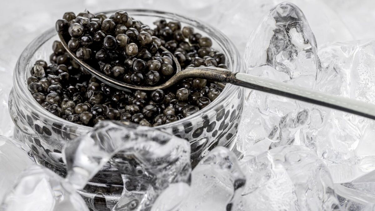 Российский рынок наводнила китайская черная икра: осетров кормят ГМО и "помойным маслом"