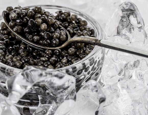 Российский рынок наводнила китайская черная икра: осетров кормят ГМО и "помойным маслом"