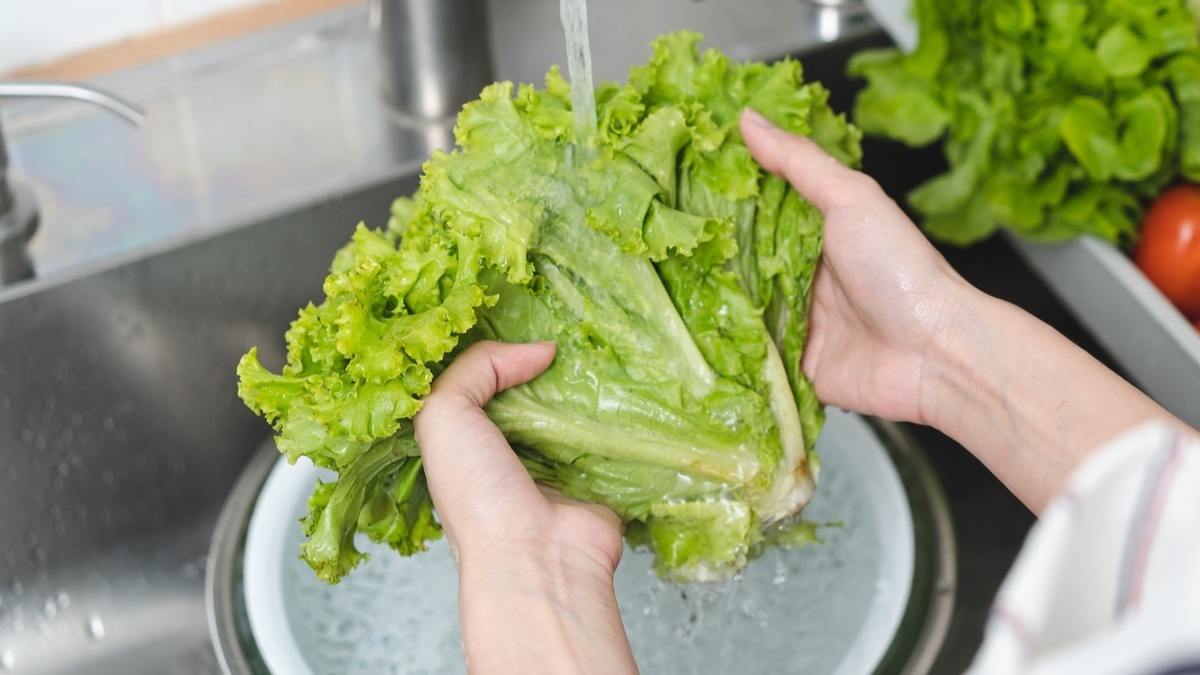 Не выбрасывайте увядший салат: шеф раскрыл способ вернуть листьям хруст за 10 минут Не выбрасывайте увядший салат: шеф раскрыл способ вернуть листьям хруст за 10 минут