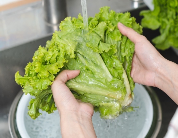 Не выбрасывайте увядший салат: шеф раскрыл способ вернуть листьям хруст за 10 минут