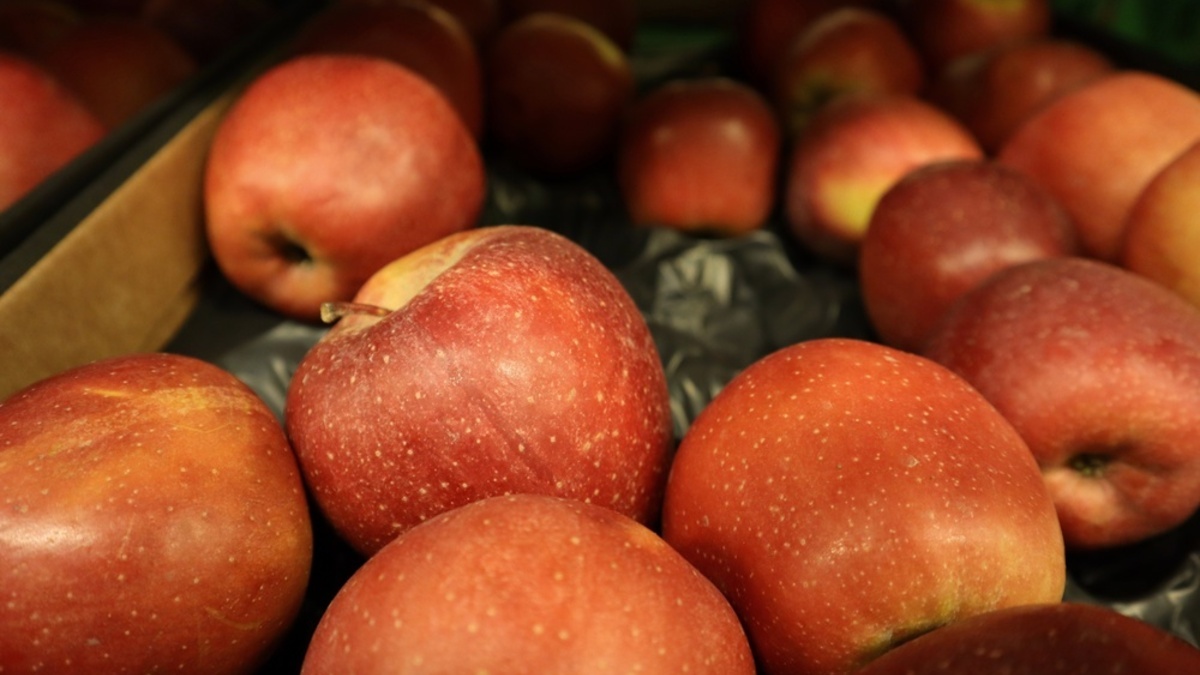 Это яблоко мне все испортило: пекари назвали сорт, который нельзя добавлять в выпечку