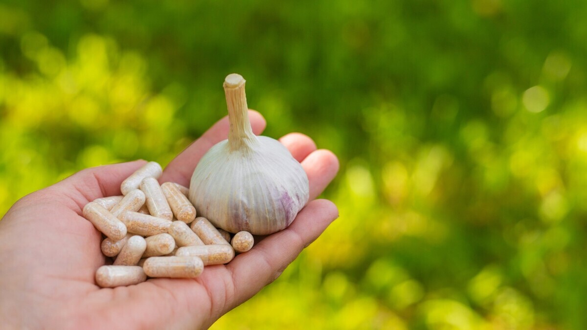 Сколько чеснока — уже много? Гастроэнтеролог назвал опасную дозу, которую многие превышают