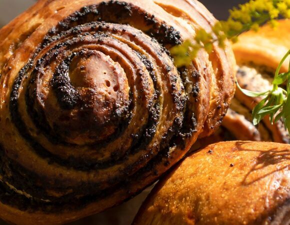 Мак в выпечке полезнее, чем кажется: учимся готовить маковый рулет — и десерт к чаю, и здоровье добавится