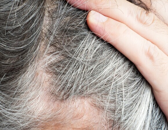 Никакой краски не хватит: диетолог Писарева назвала 4 продукта, без которых волосы седеют быстрее