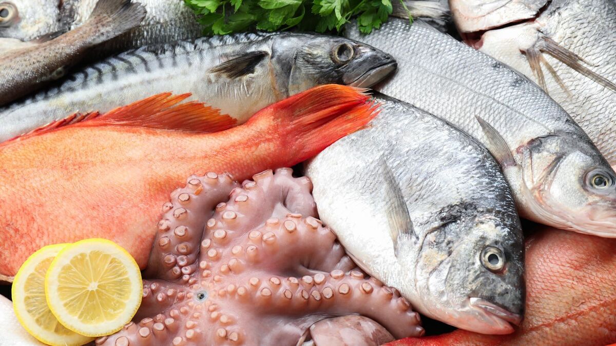 Рыба рыбе рознь: почему отличаются запахи и как это зависит от водоема — рассказал шеф-повар Малаховский