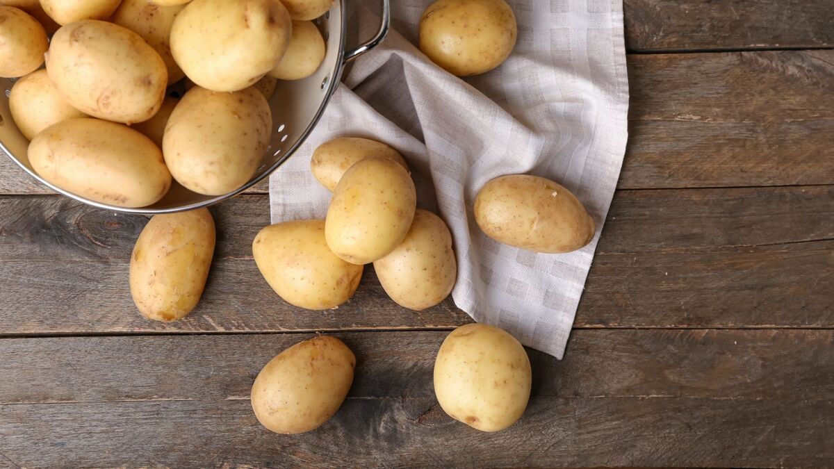 Самый дешевый в Мордовии, а самый дорогой — в столице: аналитики подсчитали стоимость картофеля в российских регионах