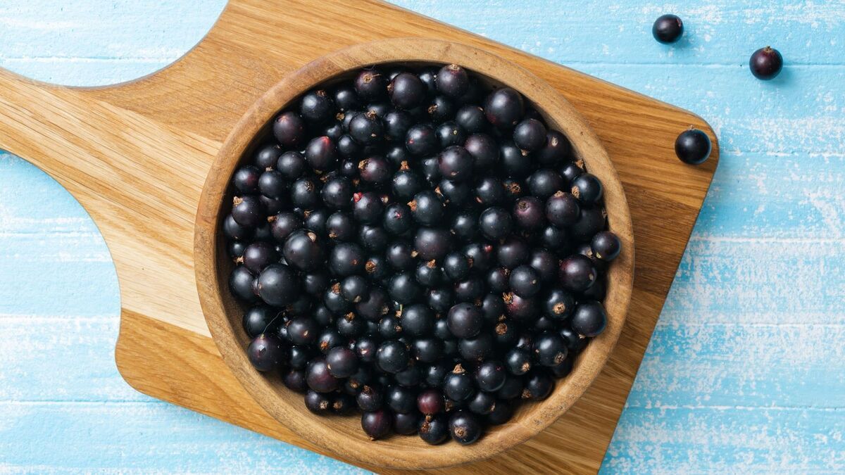 Ешьте эту ягоду, если хотите молодой и хорошо работающий мозг: новое исследование