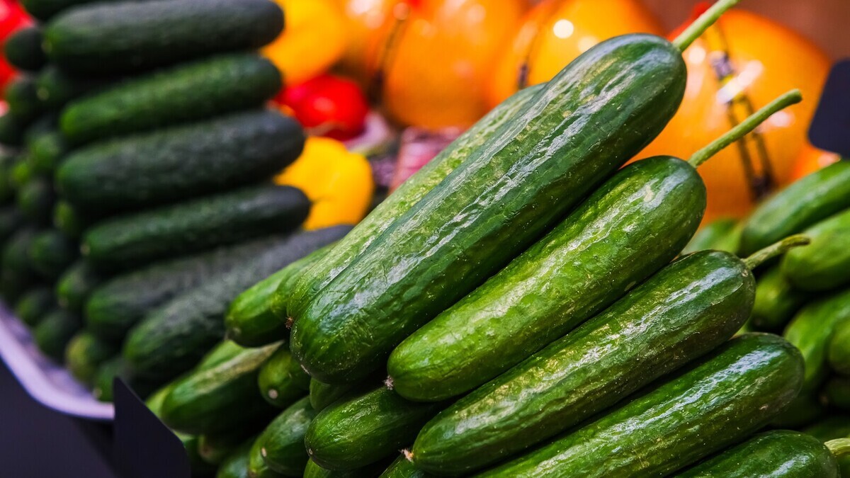 Маркетолог спрогнозировал, когда ждать снижения цен на огурцы в 2026 году 