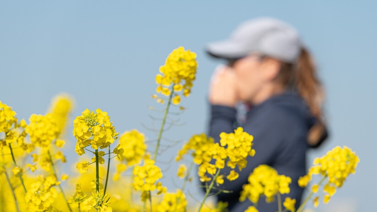 Сезон цветения 2026: врач Лапа назвала 10 продуктов, которые аллергикам нужно убрать из рациона уже сейчас Сезон цветения 2026: врач Лапа назвала 10 продуктов, которые аллергикам нужно убрать из рациона уже сейчас