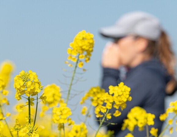Сезон цветения 2026: врач Лапа назвала 10 продуктов, которые аллергикам нужно убрать из рациона уже сейчас